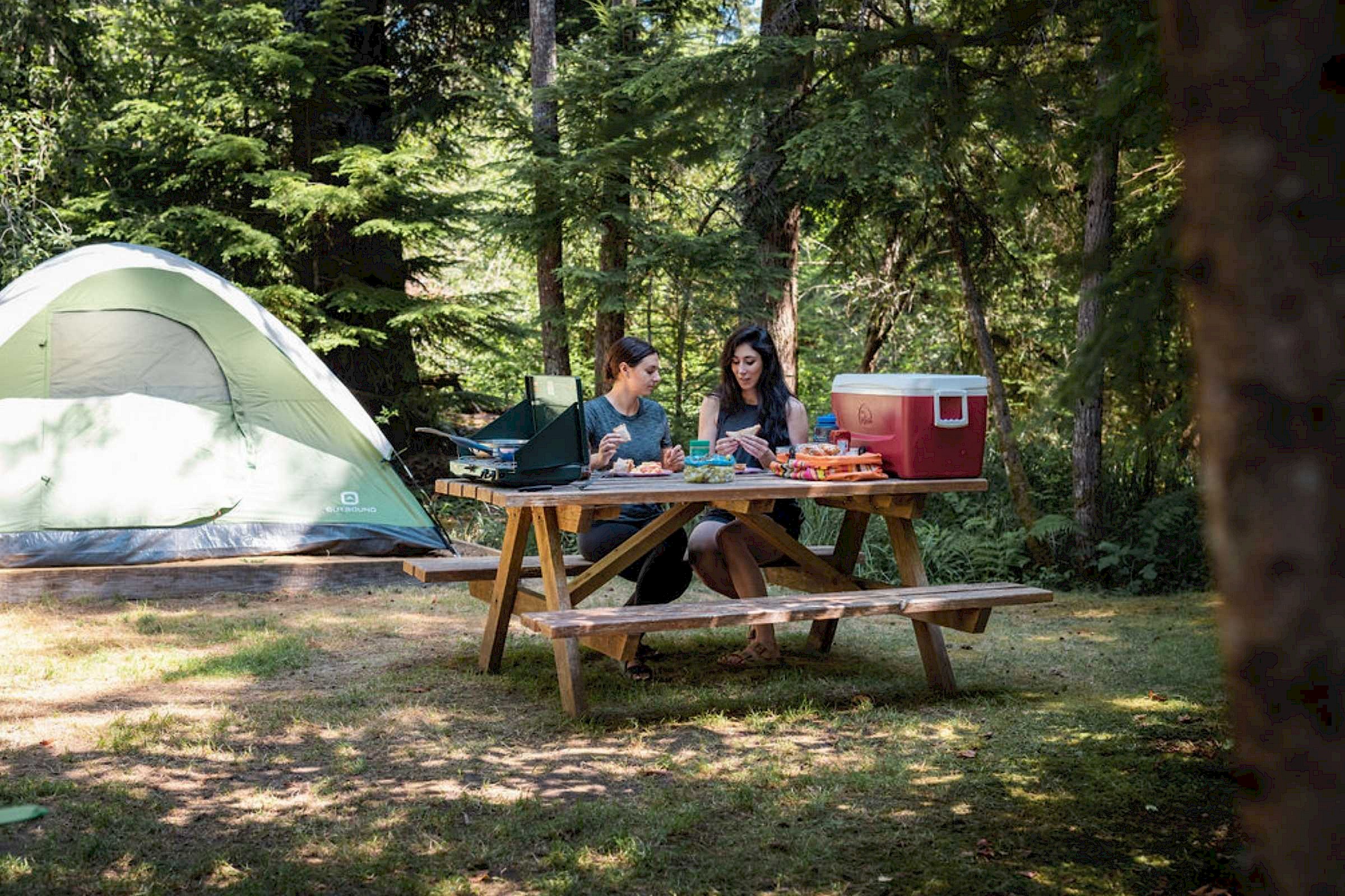 Two girls at a picnic table