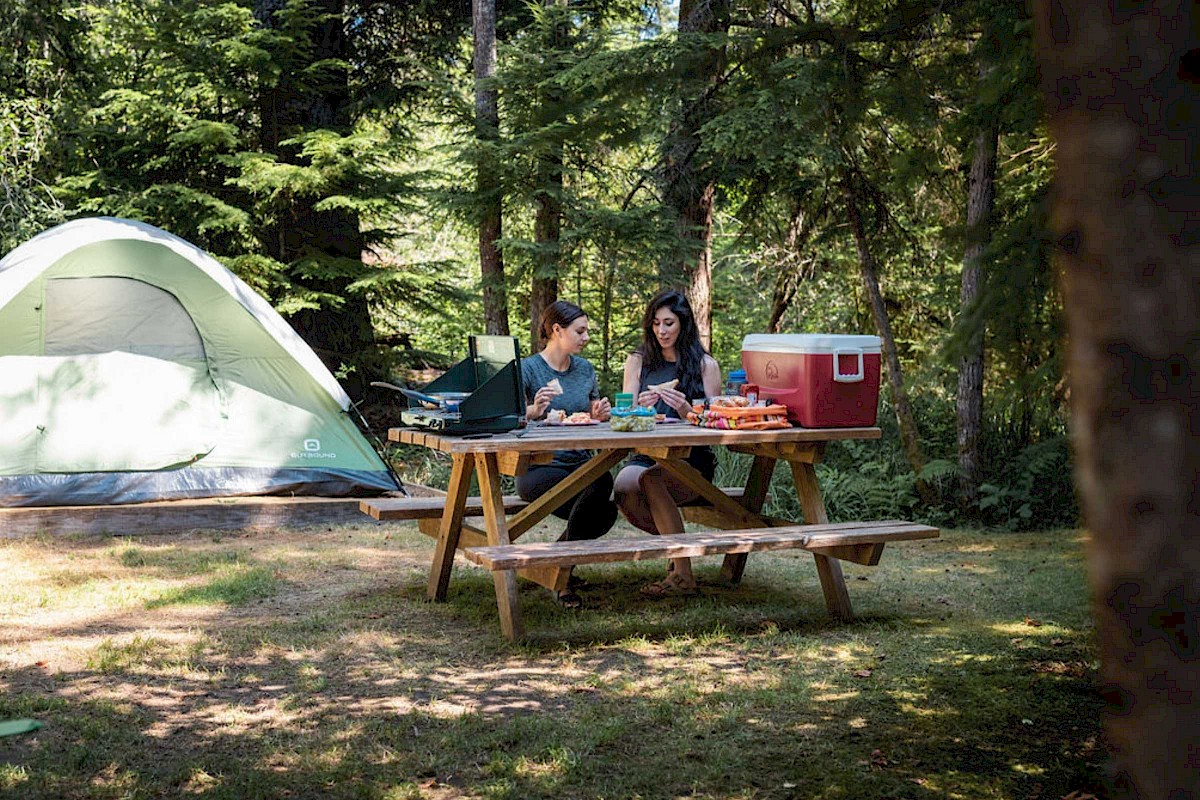 Woman and dog camping with tent