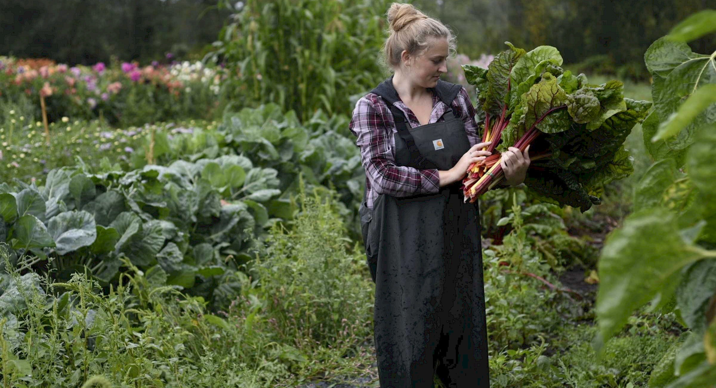 Woman holding vegetables on a farm